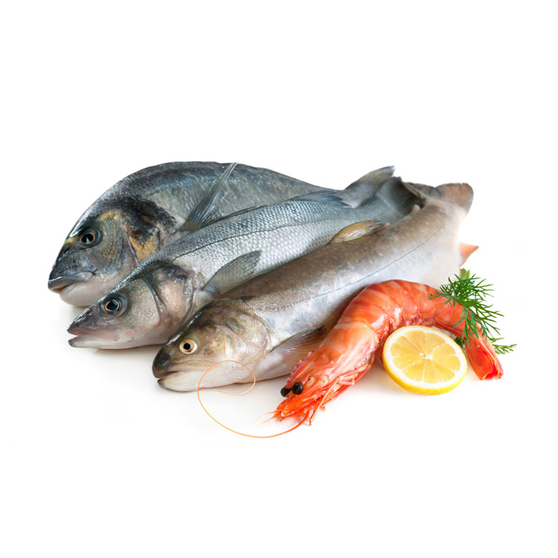 Phasellus vel hendrerit